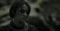 vulture game of thrones got arya the hound GIF