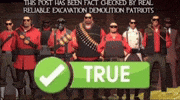 Get Team Fortress 2 GIF