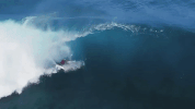 water sports sport GIF by World Surf League