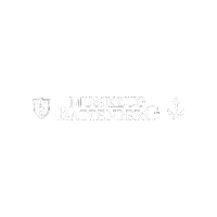 Viessmann Musikverein Sticker by musikzugbattenberg