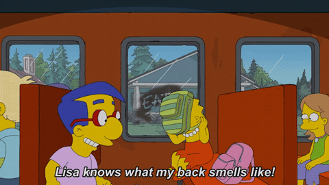 homer simpson GIF by Fox TV
