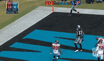 carolina panthers football GIF by NFL