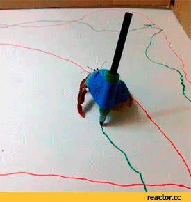 crab GIF
