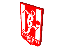 Balkes Sticker by balıkesir spor