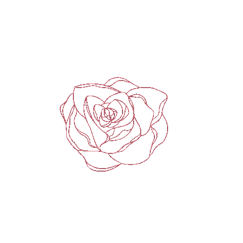 Rose Portugal Sticker