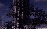 San Antonio Vintage GIF by Texas Archive of the Moving Image