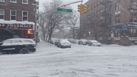 Powerful Nor'easter Dumps Snow on New York City
