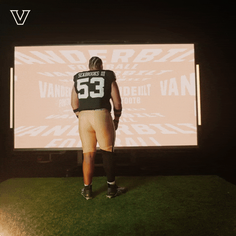 Sport Celebrate GIF by Vanderbilt Athletics
