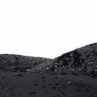 Codyguilfoyle GIF by Atlas Acopian