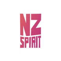 New Years Party Sticker by NZ Spirit