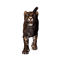 desarrolloterritorialyambiente jaguar sostenible chaco yaguarete Sticker