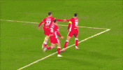 Celebration Jump For Joy GIF by Cliftonville Football Club