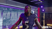 Football No GIF by Baltimore Ravens