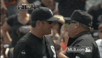 cws GIF by MLB