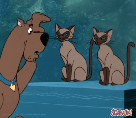 Freak Out Cartoon GIF by Scooby-Doo