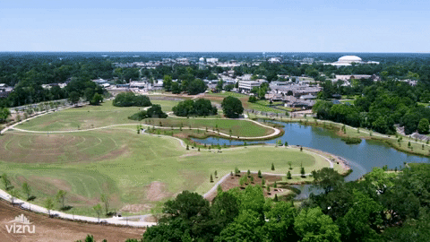 moncuspark giphyupload GIF