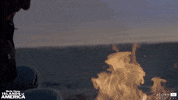 acorn-tv fire america camping alaska GIF