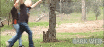 Paul Scheer Gifts GIF by Dark Web