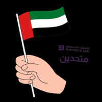 Uaenationalday GIF by Emirates Islamic