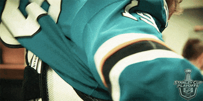 ice hockey sport GIF by NHL