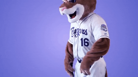 hotline bling baseball GIF by Kane County Cougars