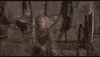Lying The Princess Bride GIF