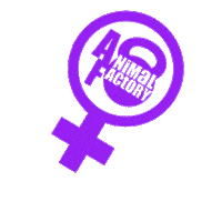 Feminism Girl Power Sticker by Animal Factory