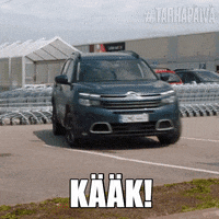 Solar Films Auto GIF by Nordisk Film Finland