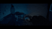 angry this wild life GIF by Epitaph Records