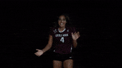 Littlerockvb GIF by Little Rock Athletics