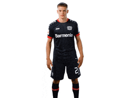 Bayer 04 Werkself GIF by Bayer 04 Leverkusen