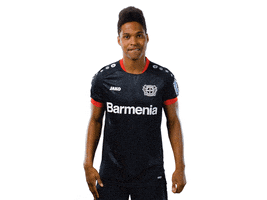 Waving Bayer 04 GIF by Bayer 04 Leverkusen