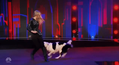 nbc GIF by America's Got Talent