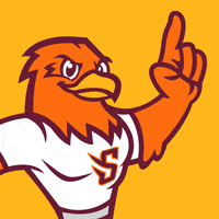 susquehannau eyes wink college mascot GIF
