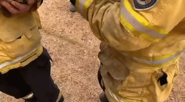 Thirsty Possum Laps up Water, Takes a Nap, After Being Rescued by Australian Firefighters