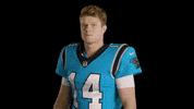 North Carolina Reaction GIF by Carolina Panthers