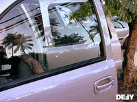 Bounty Hunter Dog GIF by DefyTV