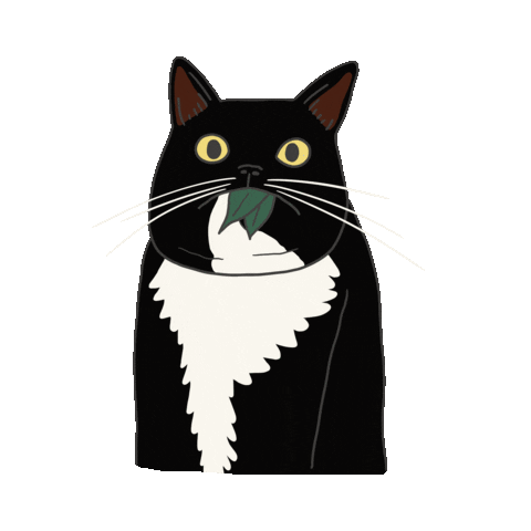 Surprise What Sticker