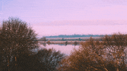 spokeworld water wellness mental health meditation GIF