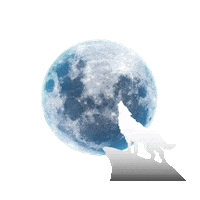 YaLenn moon wolf north shaman Sticker