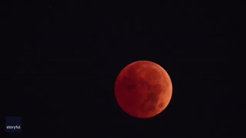 Plane Spotted Flying Over 'Blood Moon' From Western New York