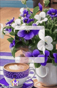 Para Ti Amigos GIF by Murcianys LLC