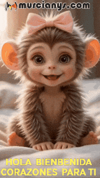 Para Ti Amigos GIF by Murcianys LLC