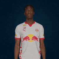 Football Sport GIF by FC Red Bull Salzburg