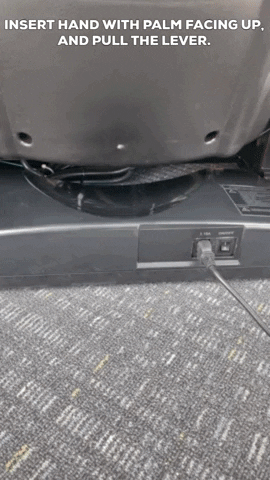 Brigray giphygifmaker GIF