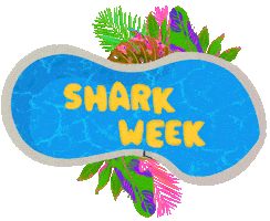 Shark Week Summer Sticker by Discovery