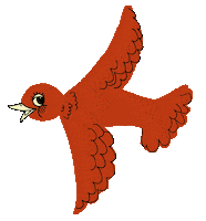 Flying Red Bird Sticker by Mini Rodini