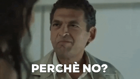 dibegnozzi giphygifmaker maestro boris GIF