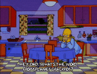 homer simpson episode 10 GIF