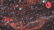Deep Space Stars GIF by ESA/Hubble Space Telescope